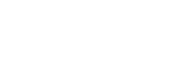 РИК (Русский Инвест Клуб)